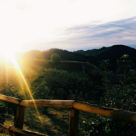 Agriturismo Al Ciliegio Villa มารอสติกา ภายนอก รูปภาพ