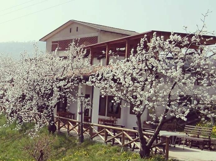 Agriturismo Al Ciliegio Villa มารอสติกา ภายนอก รูปภาพ