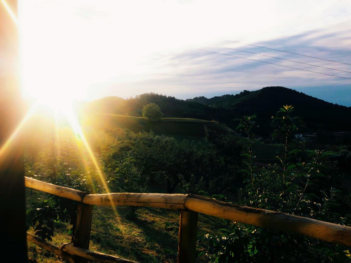 Agriturismo Al Ciliegio Villa มารอสติกา ภายนอก รูปภาพ